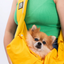 PawStar Sarı Crossbody Çanta