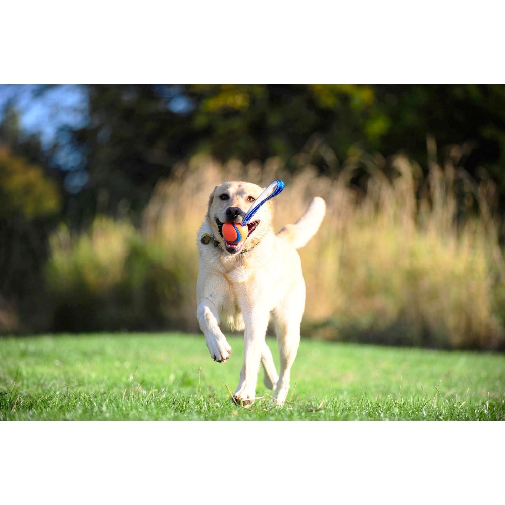 Chuckit! Ultra Tug Köpek Çekiştirme Topu (Büyük Boy)