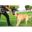 Chuckit! Ultra Tug Köpek Çekiştirme Topu (Büyük Boy)