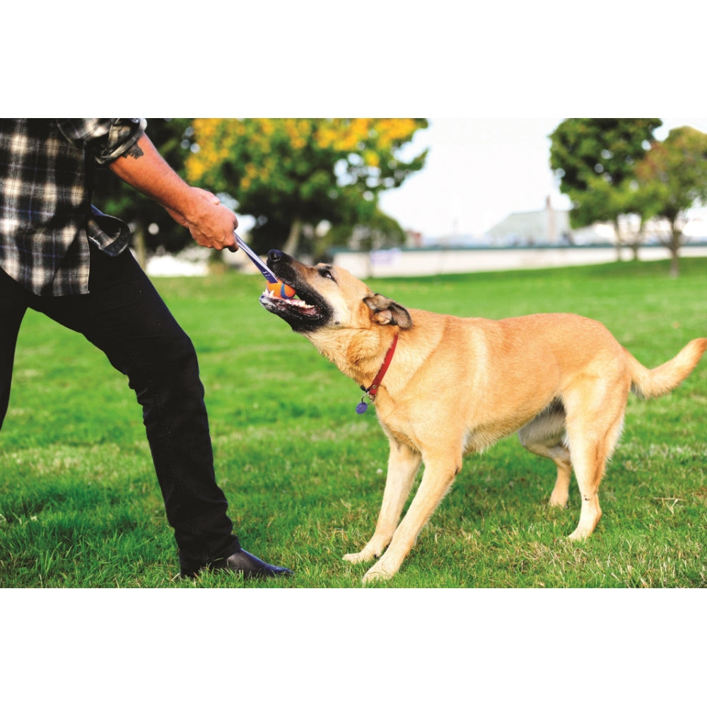 Chuckit! Ultra Tug Köpek Çekiştirme Topu (Büyük Boy)