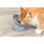 Trixie Xxl Yükseltilmiş Seramik Kedi Mama Kabı 0,35 L, 17 Cm, Gri