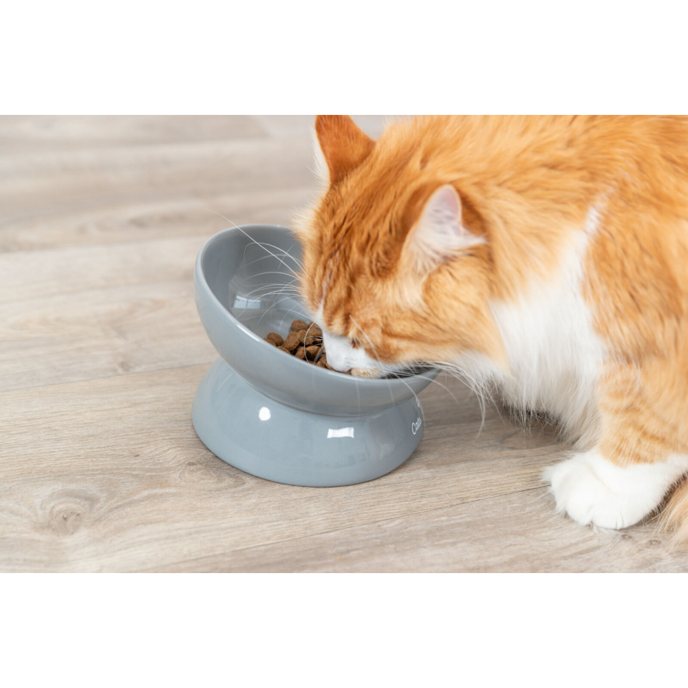 Trixie Xxl Yükseltilmiş Seramik Kedi Mama Kabı 0,35 L, 17 Cm, Gri