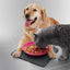 Trixie Kedi/Köpek Kaymaz Altlıklı Mama Kabı 400ml