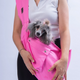 PawStar Pembe Gabardin CrossBody Çanta