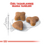 Royal Canin Sensible 33 10 Kg Yetişkin Kuru Kedi Maması