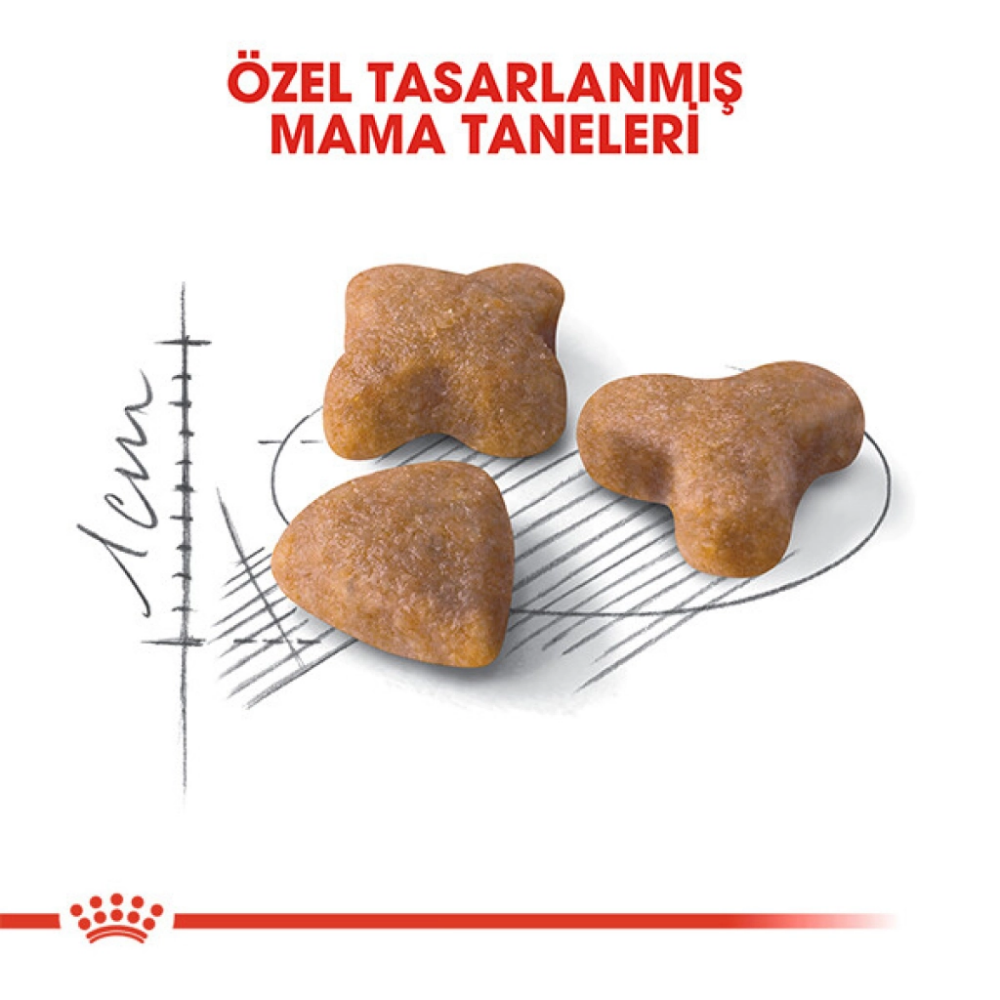 Royal Canin Sensible 33 10 Kg Yetişkin Kuru Kedi Maması