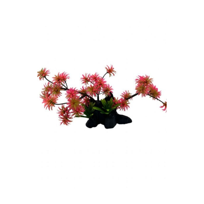 Aqua Master 4000077 Bonzai Bitki Kırmızı