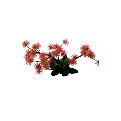 Aqua Master 4000077 Bonzai Bitki Kırmızı