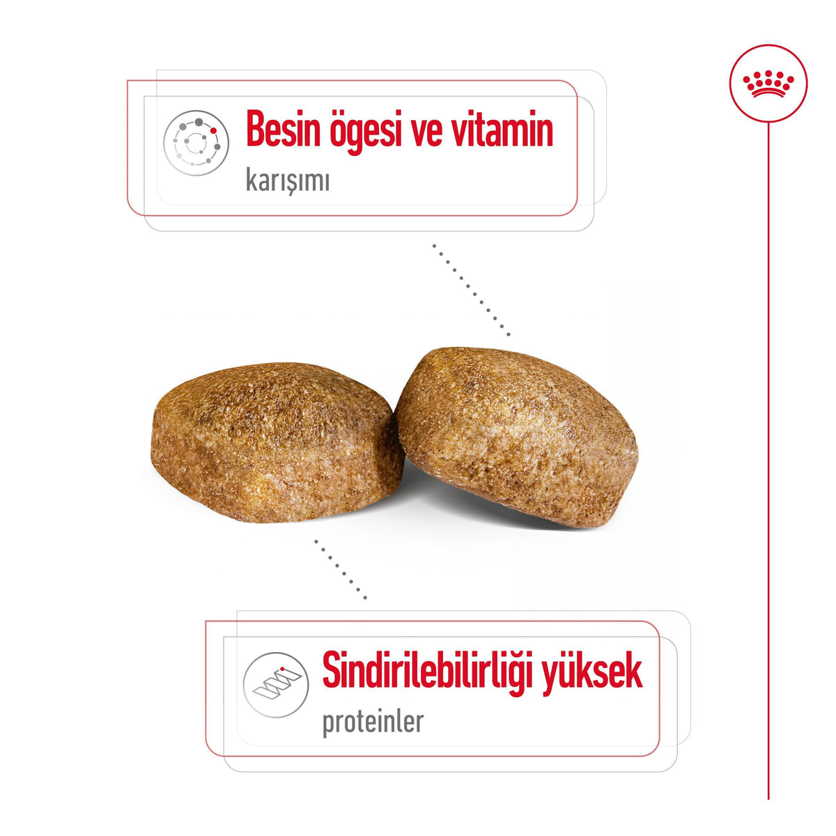 Royal Canin Giant Adult 15 Kg Yetişkin Kuru Köpek Maması