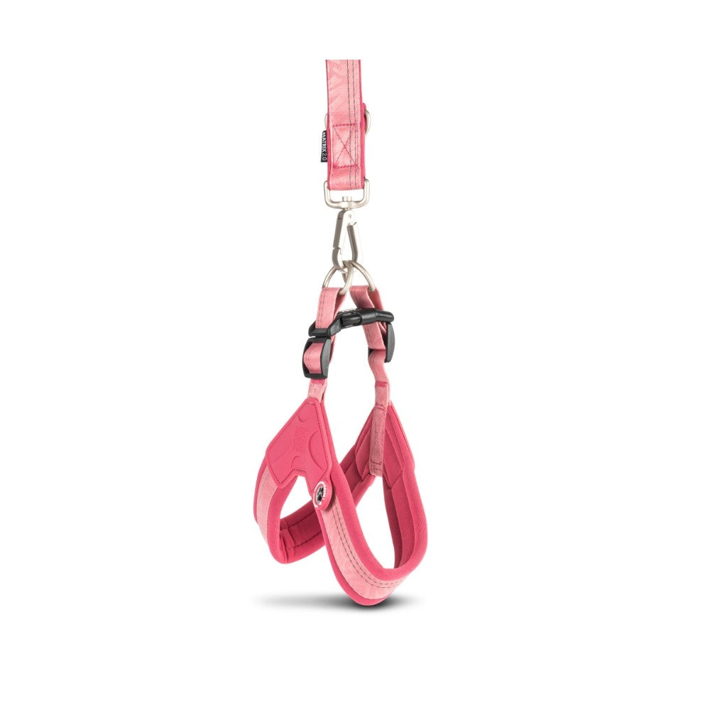 Matrix 2.0 Akıllı Künyeli Q-Fit Köpek Göğüs Tasması - Rose (XL)