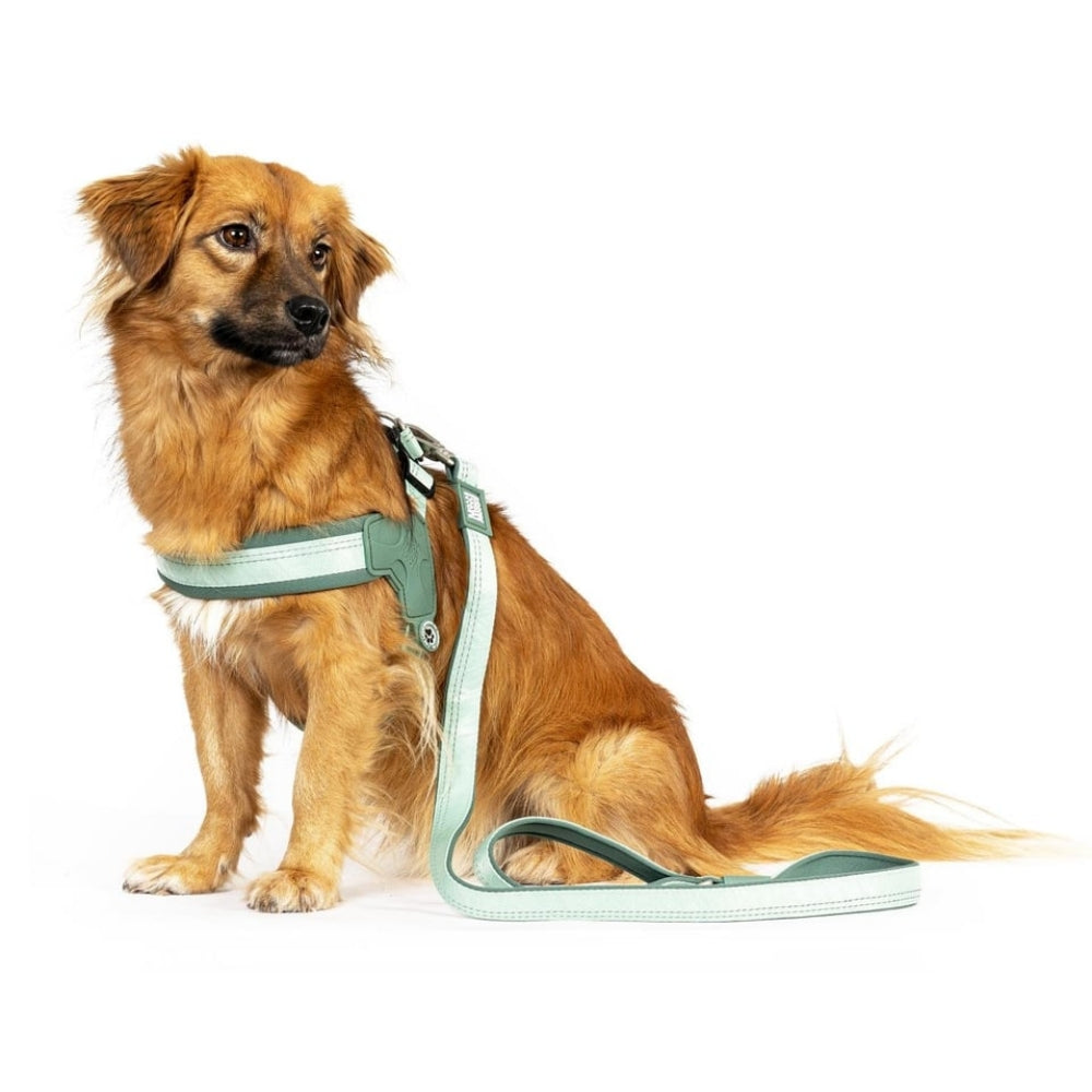 Matrix 2.0 Akıllı Künyeli Q-Fit Köpek Göğüs Tasması - Jade (L)