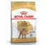 Royal Canin Poodle Adult 3 Kg Yetişkin Kuru Köpek Maması