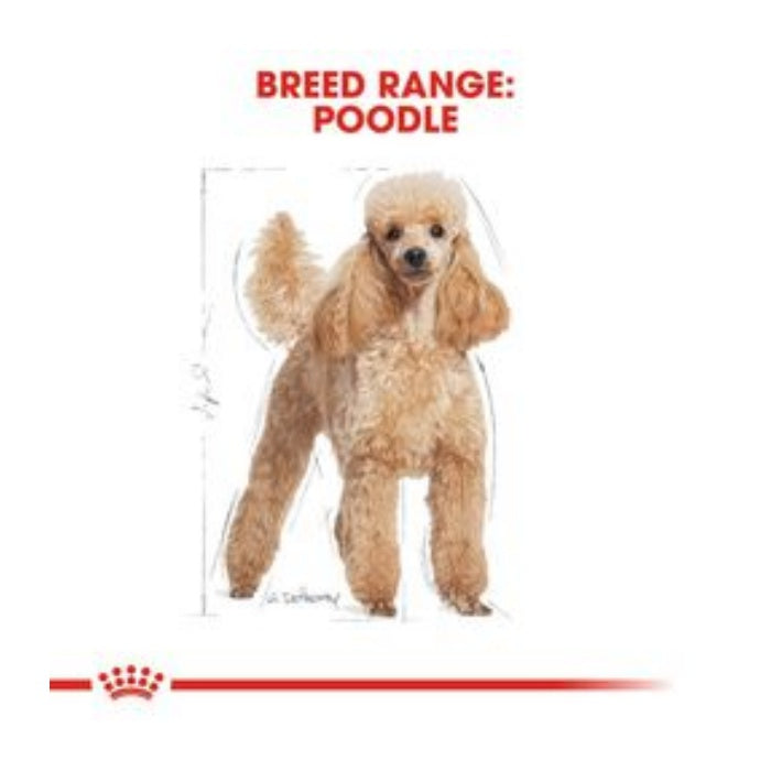 Royal Canin Poodle Adult 3 Kg Yetişkin Kuru Köpek Maması