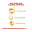 Royal Canin Poodle Adult 3 Kg Yetişkin Kuru Köpek Maması