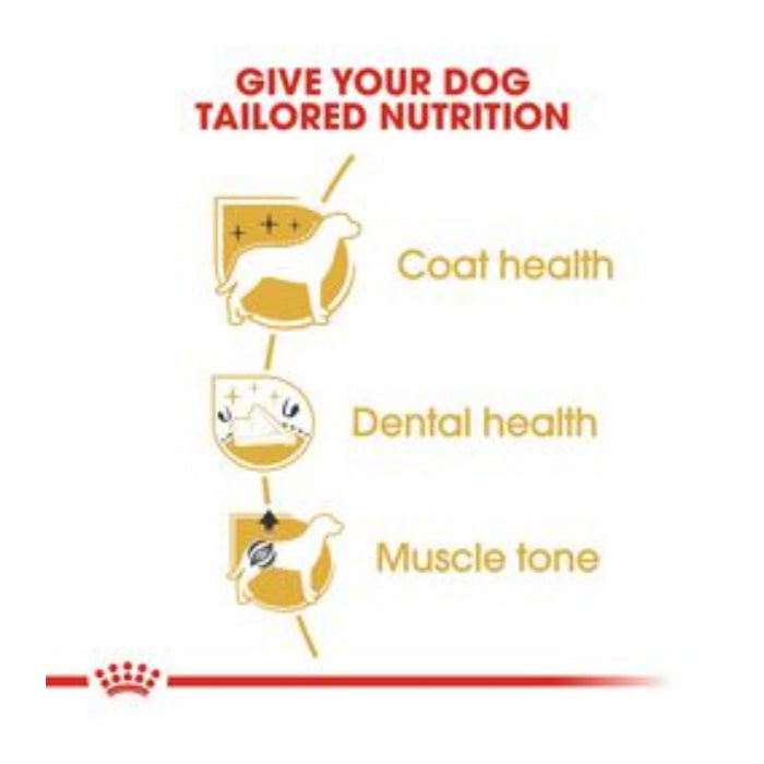 Royal Canin Poodle Adult 3 Kg Yetişkin Kuru Köpek Maması