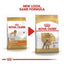 Royal Canin Poodle Adult 3 Kg Yetişkin Kuru Köpek Maması