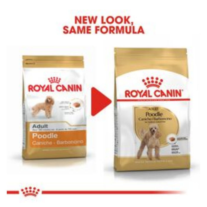Royal Canin Poodle Adult 3 Kg Yetişkin Kuru Köpek Maması