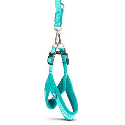 Matrix 2.0 Akıllı Künyeli Q-Fit Köpek Göğüs Tasması - Turquoise (XS)