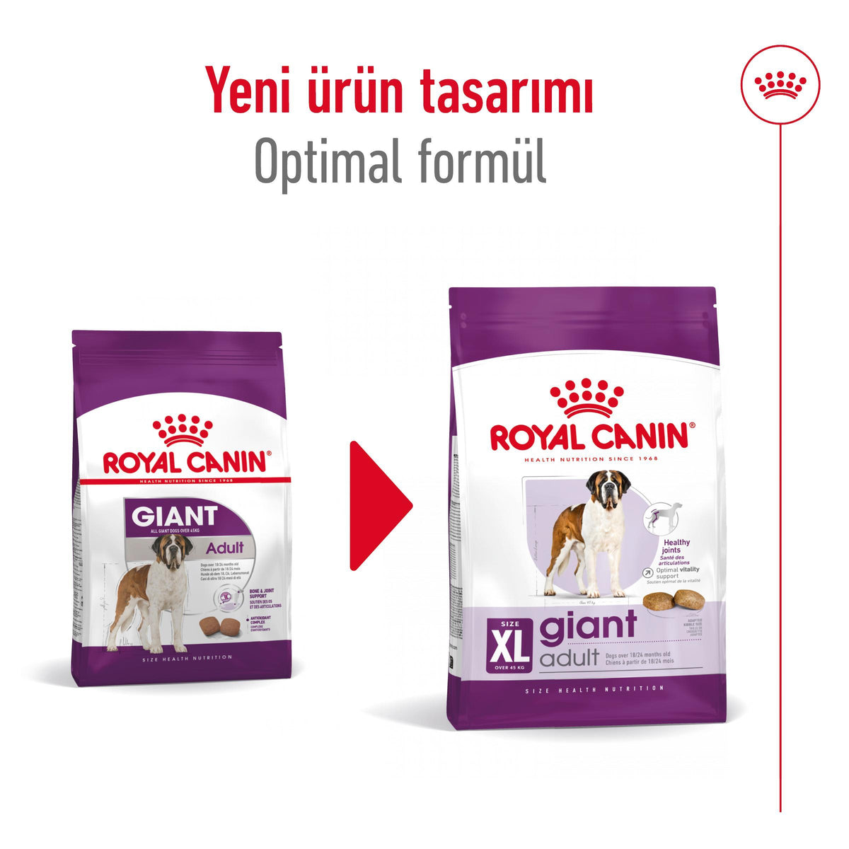 Royal Canin Giant Adult 15 Kg Yetişkin Kuru Köpek Maması