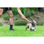 Chuckit! Ultra Bumper Tug Köpek Çekiştirme Oyuncağı