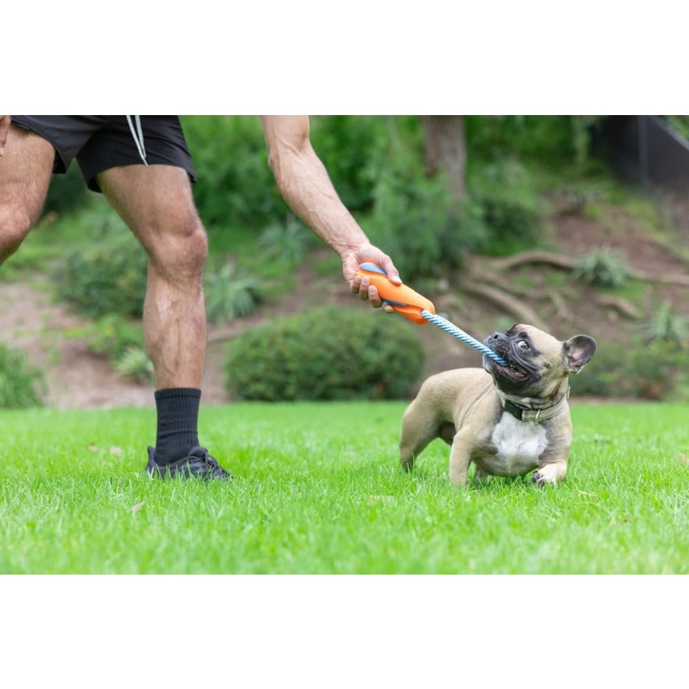 Chuckit! Ultra Bumper Tug Köpek Çekiştirme Oyuncağı