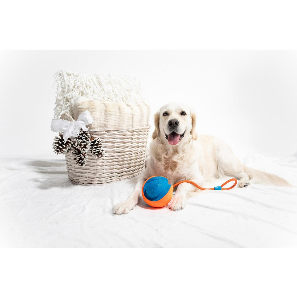 Chuckit! Rope Fetch İpli Oyun Topu