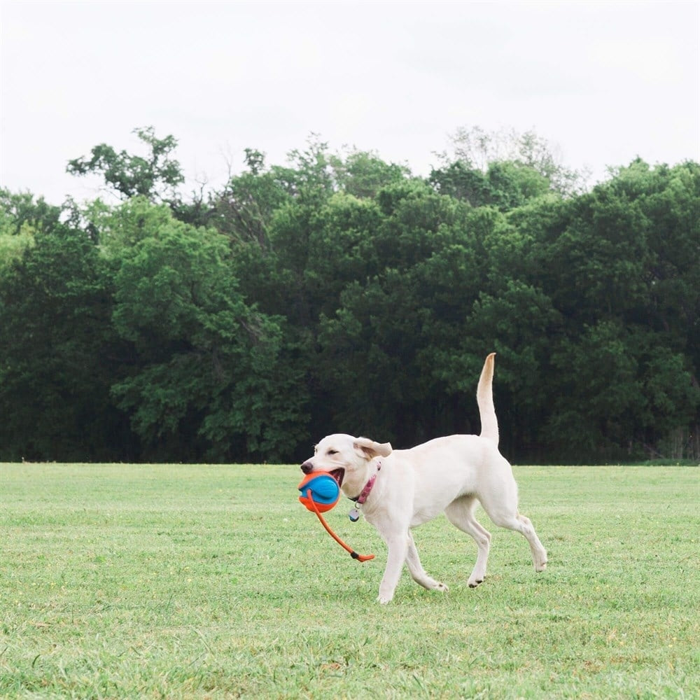 Chuckit! Rope Fetch İpli Oyun Topu