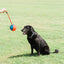 Chuckit! Rope Fetch İpli Oyun Topu