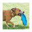 Chuckit! Whistle Flight Sesli Frizbi