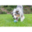 Chuckit! Sniff Fetch Jambon Kokulu Köpek Oyun Topu (Orta Boy)