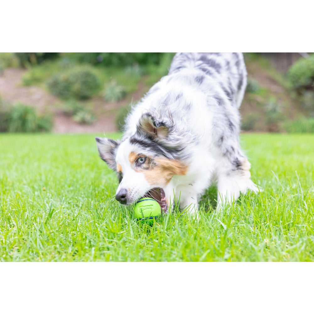 Chuckit! Sniff Fetch Fıstık Ezmesi Kokulu Köpek Oyun Topu (Orta Boy)