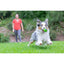 Chuckit! Sniff Fetch Fıstık Ezmesi Kokulu Köpek Oyun Topu (Orta Boy)
