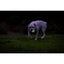 Chuckit! Max Glow Air Fetch Gece Parlayan Köpek Oyun Topu (Orta Boy)
