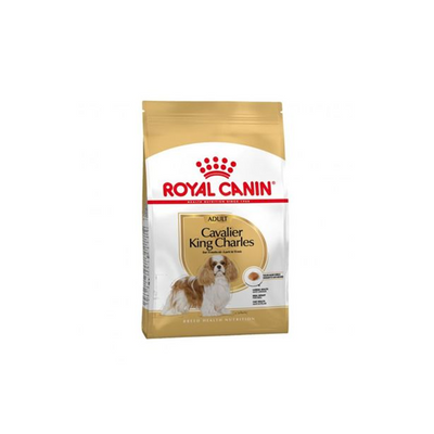 Royal Canin Cavalier King Charles 3 Kg Yetişkin Kuru Köpek Maması