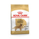 Royal Canin Golden Retriever 12 Kg Yetişkin Kuru Köpek Maması