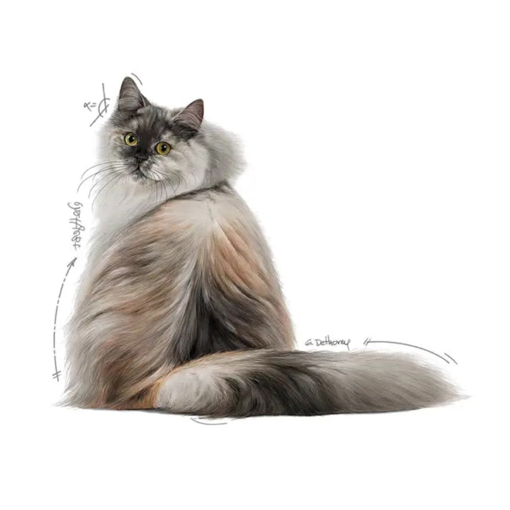 Royal Canin Gravy Hair&Skin Kedi Yaş Maması 85gr