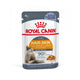 Royal Canin Jelly Hair&Skin Kedi Yaş Maması 85gr