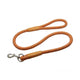 Nunbell Renkli Fitil Köpek Gezdirme 12mmx120cm