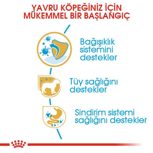 Royal Canin Poodle Junior 3 Kg Yavru Kuru Köpek Maması