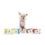 M-PETS Coconutlu Kedi/Köpekler İçin Temizlik Mendili 80Li