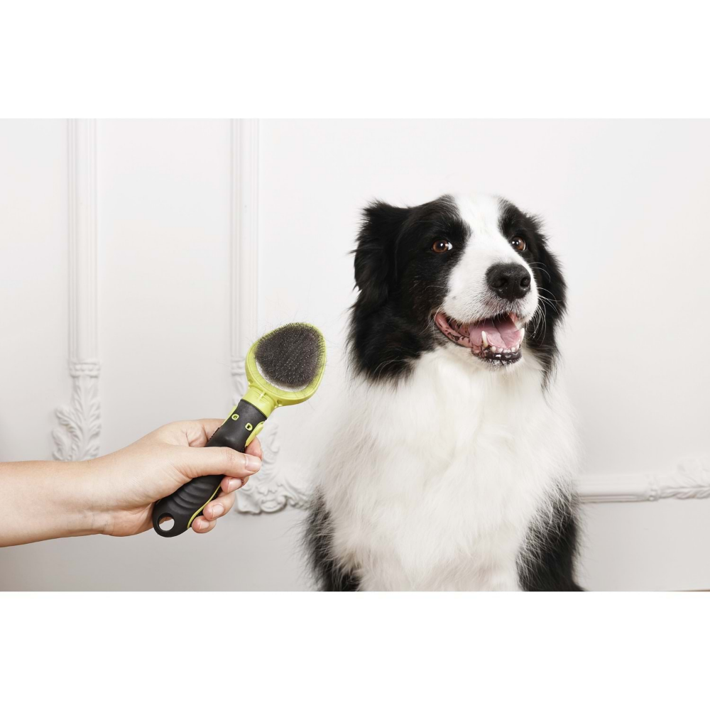 M-PETS Clıck And Groom Kedi Ve Köpek İnce Telli Fırça