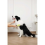M-PETS Clıck And Groom Kedi Ve Köpek Masaj Uclu Fırça