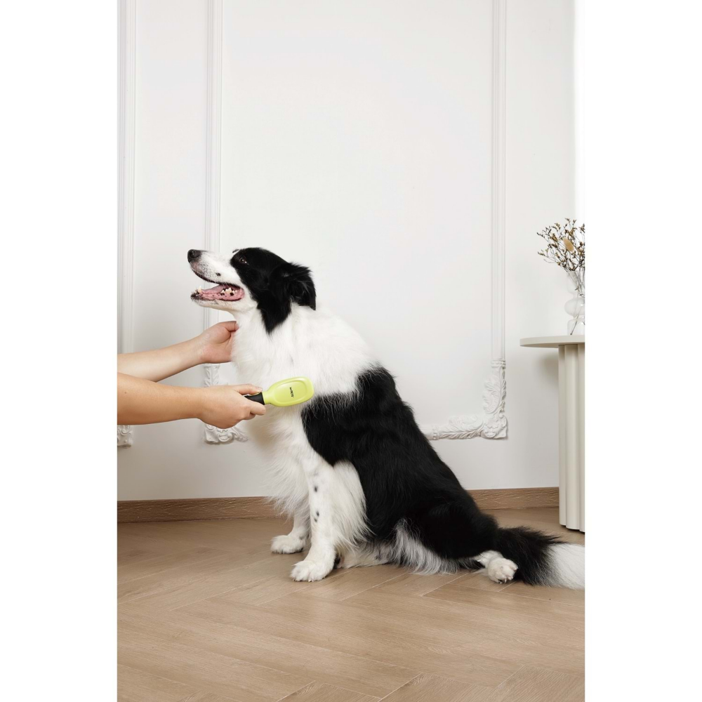 M-PETS Clıck And Groom Kedi Ve Köpek Masaj Uclu Fırça