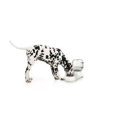 M-Pets Cylinder Hazneli Su Kabı 3,5L