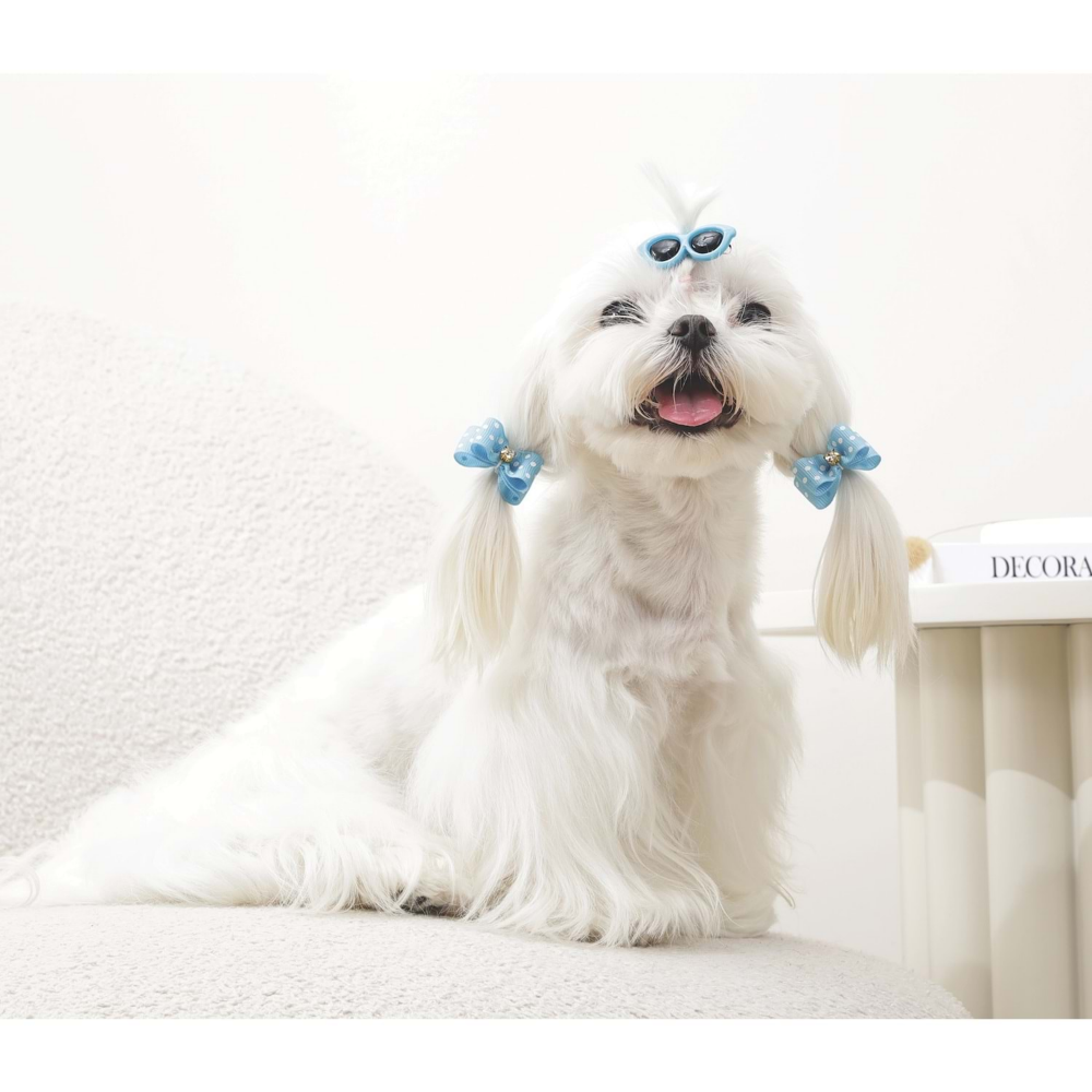 M-Pets Glam Köpekler İçin Aksesuar Toka Blue