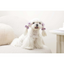 M-Pets Glam Köpekler İçin Aksesuar Toka Purple