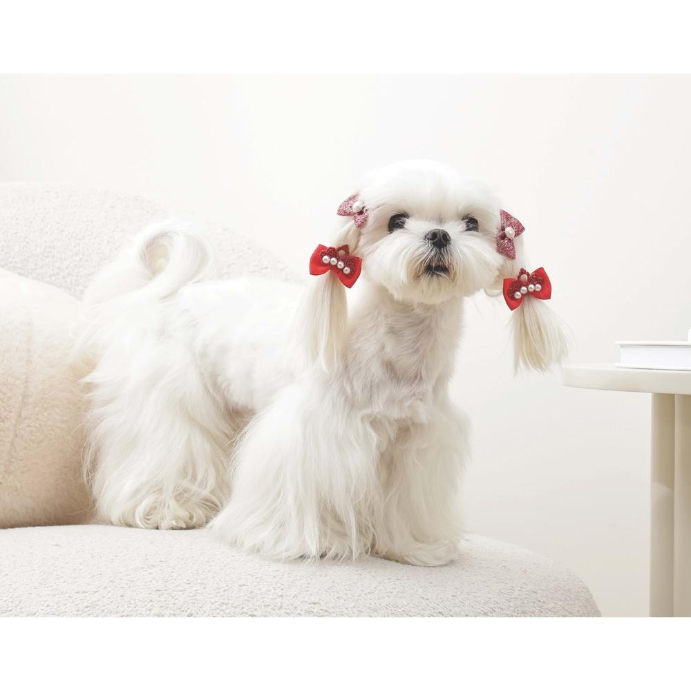 M-Pets Glam Köpekler İçin Aksesuar Toka Red