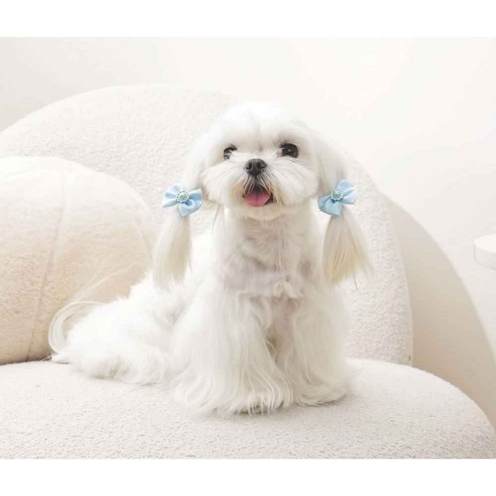 M-Pets Glam Köpekler İçin Aksesuar Toka Blue