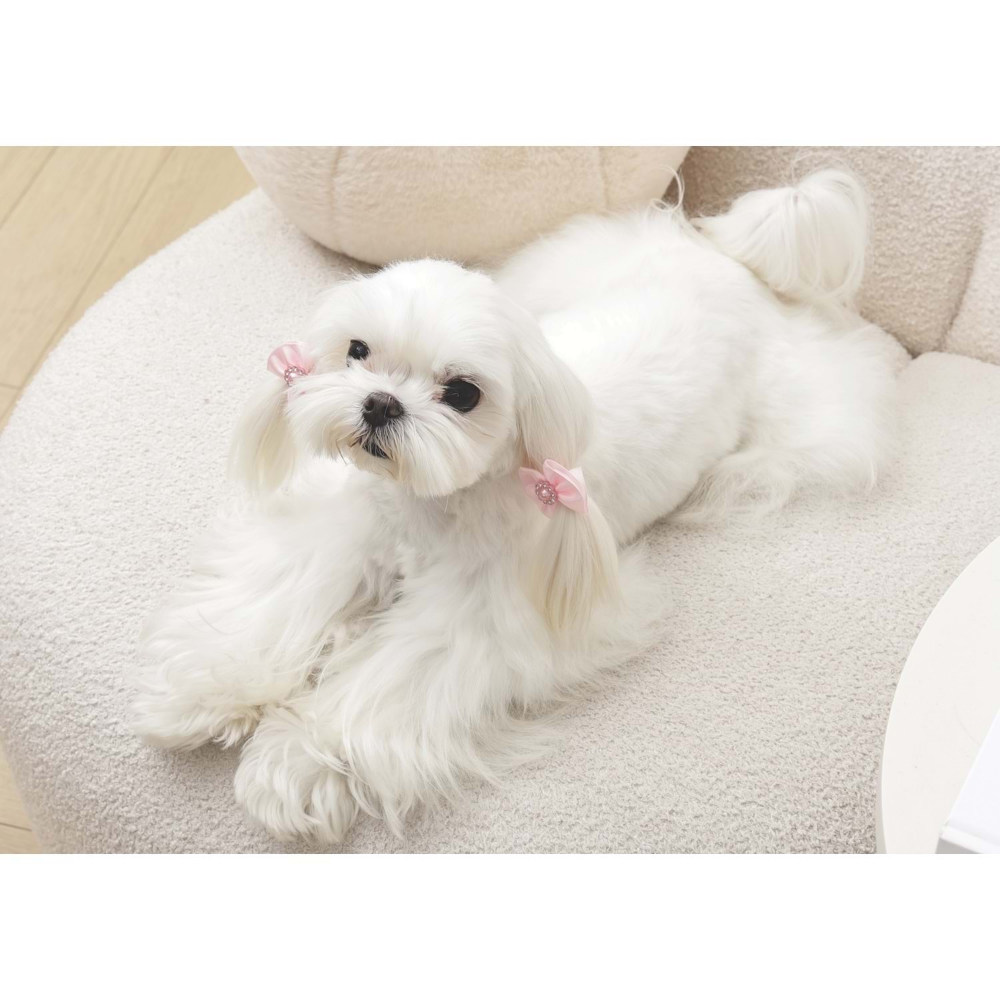 M-Pets Glam Köpekler İçin Aksesuar Toka Pink
