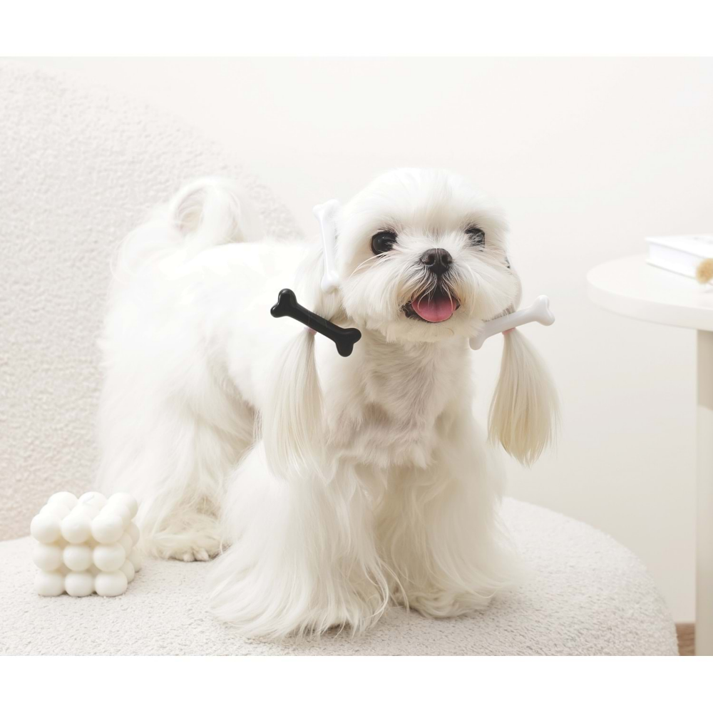 M-Pets Glam Köpekler İçin Aksesuar Toka Black/White